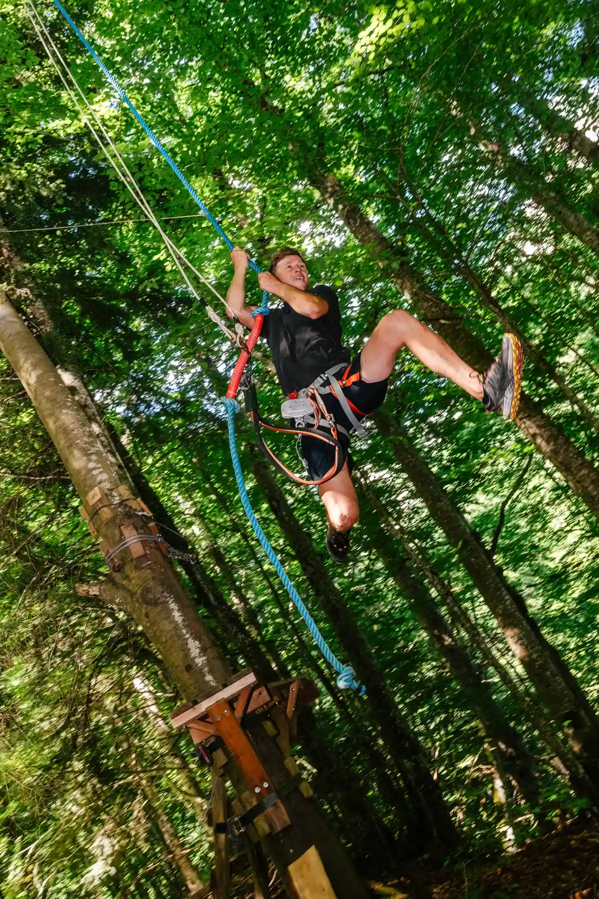 un ado qui est dans les arbres