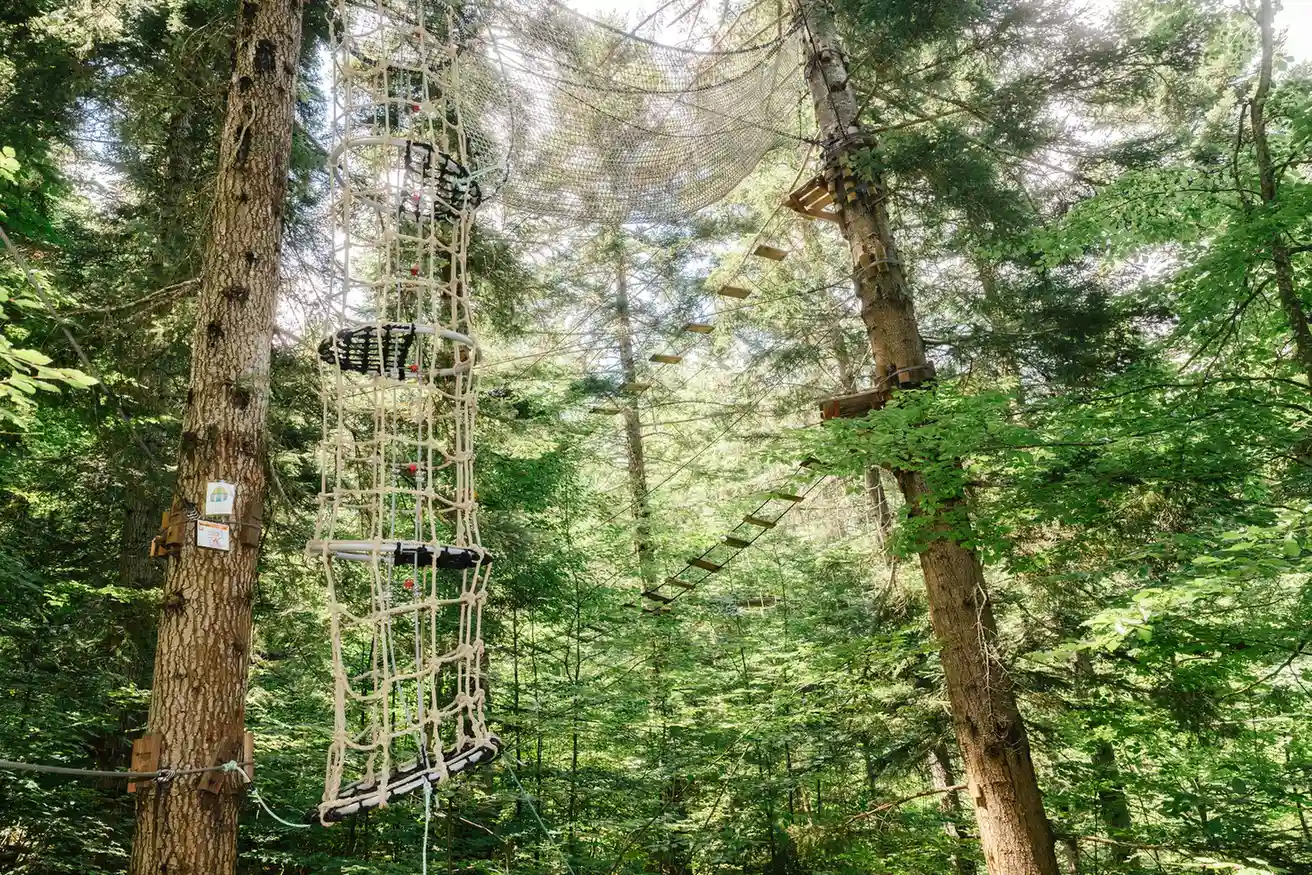 accrobranche dans les arbres