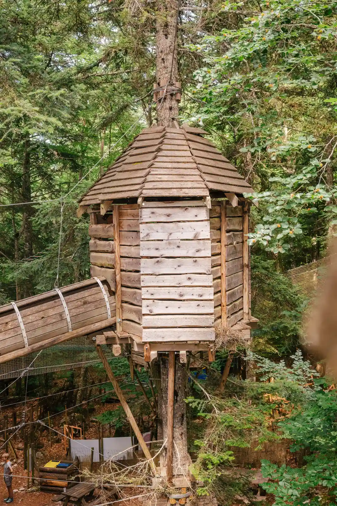 cabanes perchés avec chasse au trésor